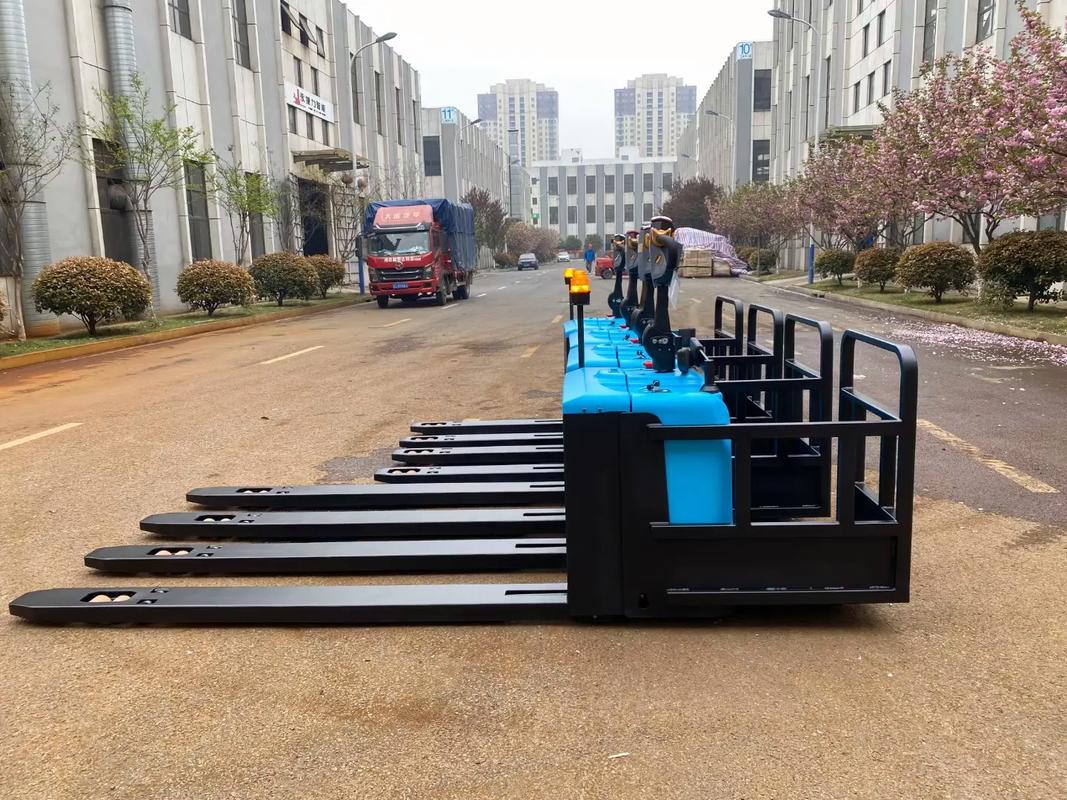 倉(cāng)儲(chǔ)物流工廠非標(biāo)托盤(pán)搬運(yùn)車(chē) 額定載重2500kg的高效解決方案